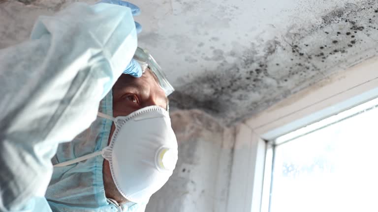 Mold Remediation for Vacation Homes